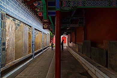 无处可逃！搞怪沙盒游戏《持枪松鼠》发布全新预告