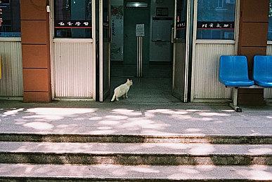 《模拟山羊3》迎来重大免费更新 官方已发布先行预告片