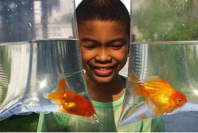 任天堂新一期游戏发布会12月16日举行